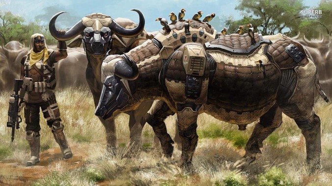 为什么有的房东喜欢把房间租给女租户？